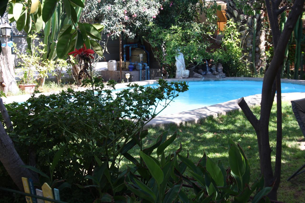 Tikay Suite Hotel Copiapó Exteriér fotografie
